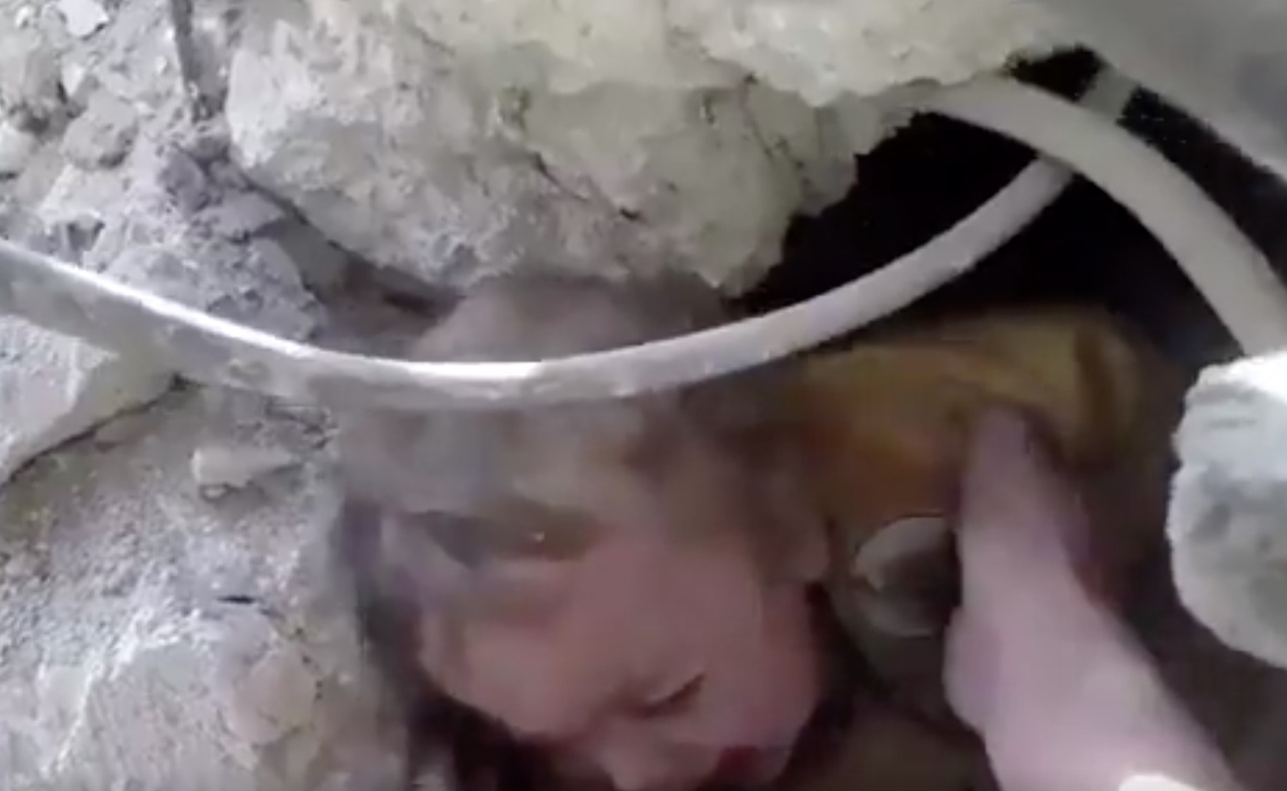 Un raid aereo ha colpito una scuola in Siria, nella Gutha