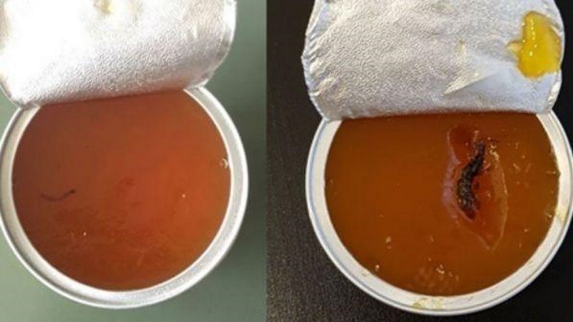 Treviglio e Milano, vermi nei pasti della mensa delle scuole