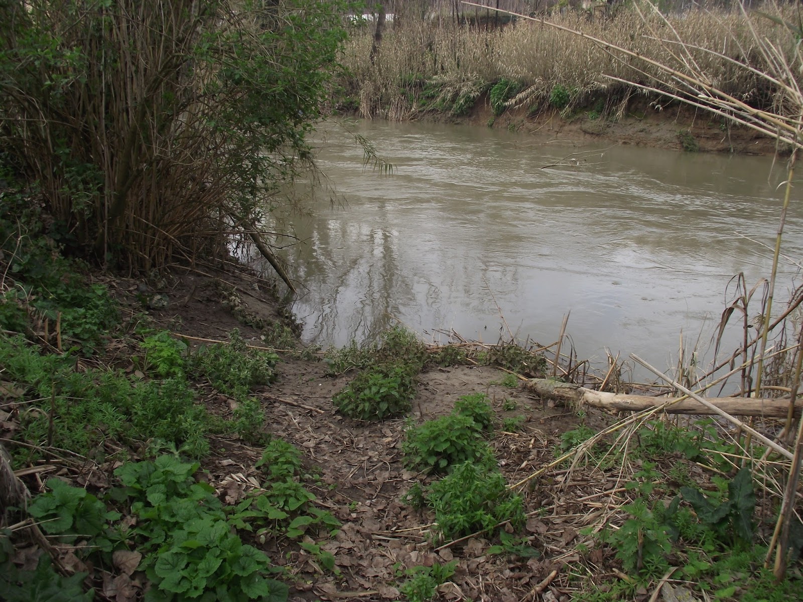 Roma, giovane rom affogato nel fiume Aniene. Forse stava facendo pipì ed è caduto in acqua