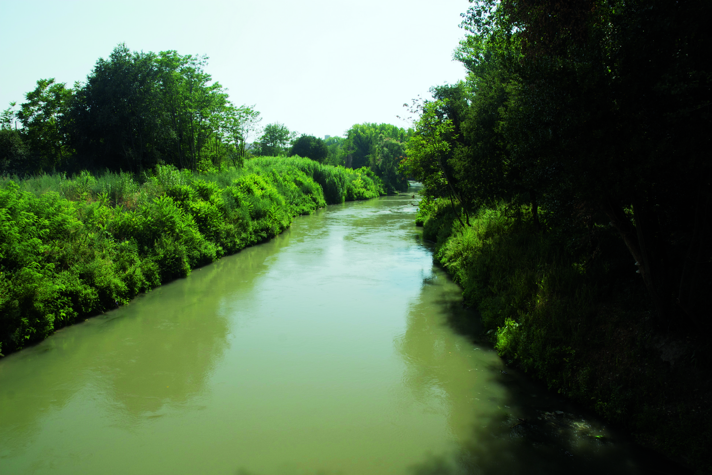 Roma. Cadavere nell'Aniene: sarebbe di un rom ventenne scomparso due settimane fa