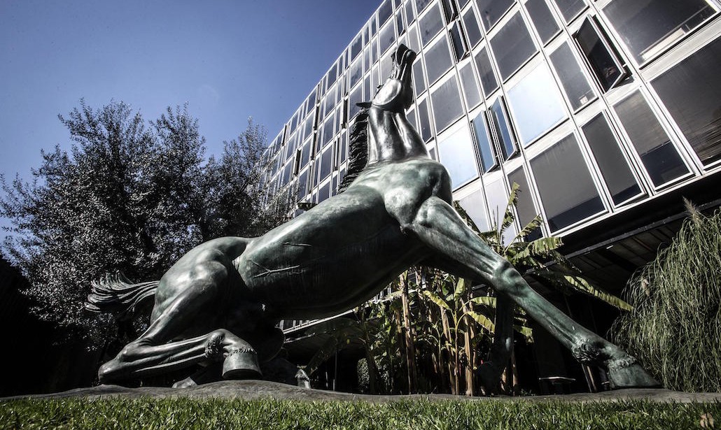 Cavallo Rai viale Mazzini a Roma