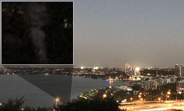 Cane fantasma o illusione ottica? Misteriosa FOTO