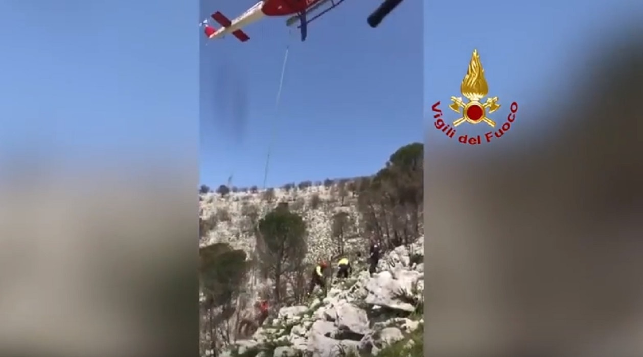 cavallo nel dirupo a Frosinone