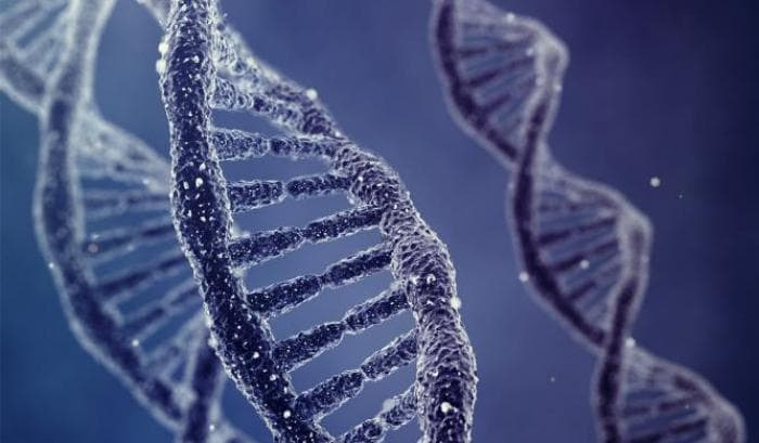 Dna, scoperta la nuova forma: non è la doppia elica, ma quella con i-motif