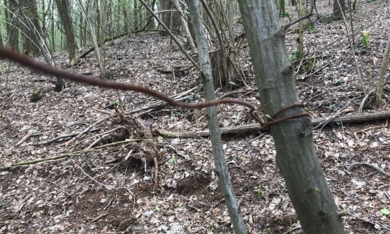 Trappole anti-bikers in Val di Susa: trovato fil di ferro ad altezza uomo
