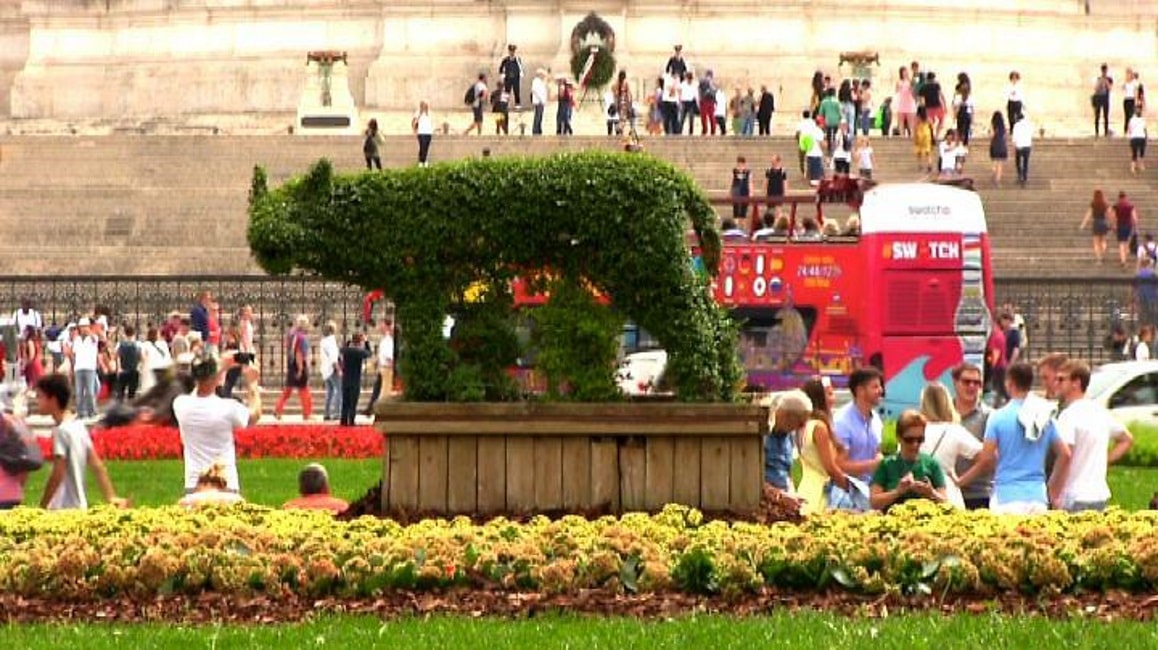 Lupacchia prende il posto di Spelacchio a Piazza Venezia a Roma