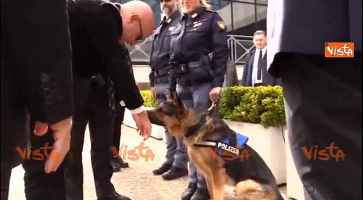 Ministro Minniti gioca col cane poliziotto Ares a Roma