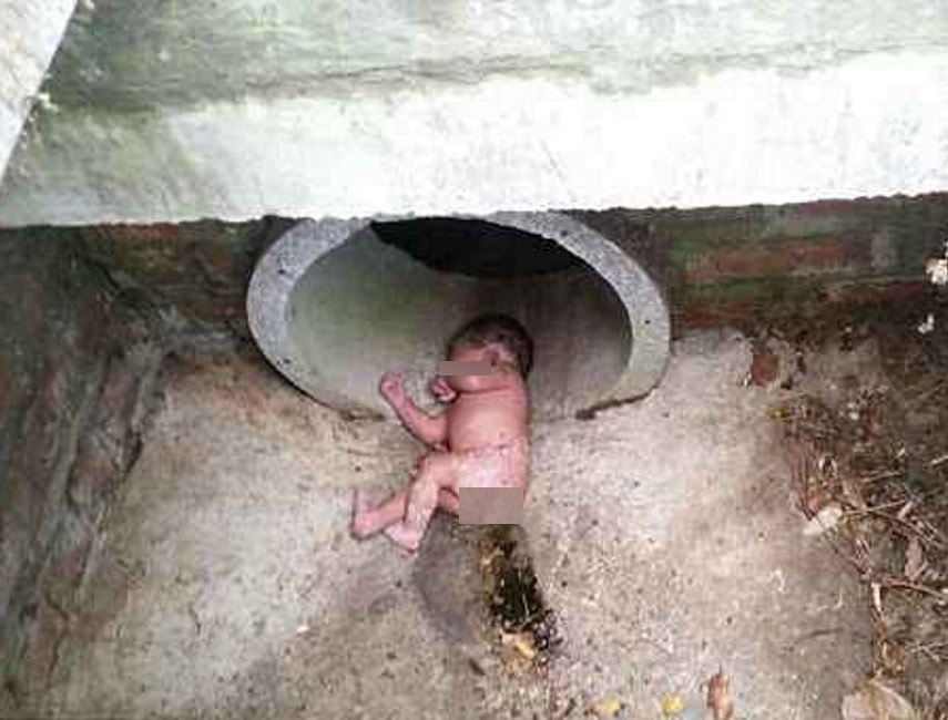 Neonata abbandonata in fogna e coperta di formiche rosse sopravvive