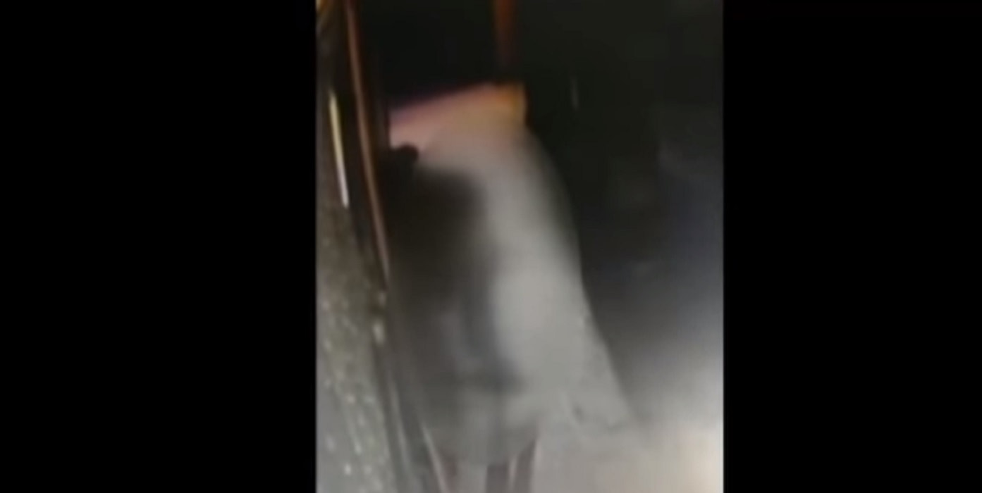 Cesarin Tivadar, arrestato palpeggiatore Bologna