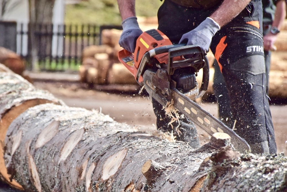 Spellacchio, seconda vita