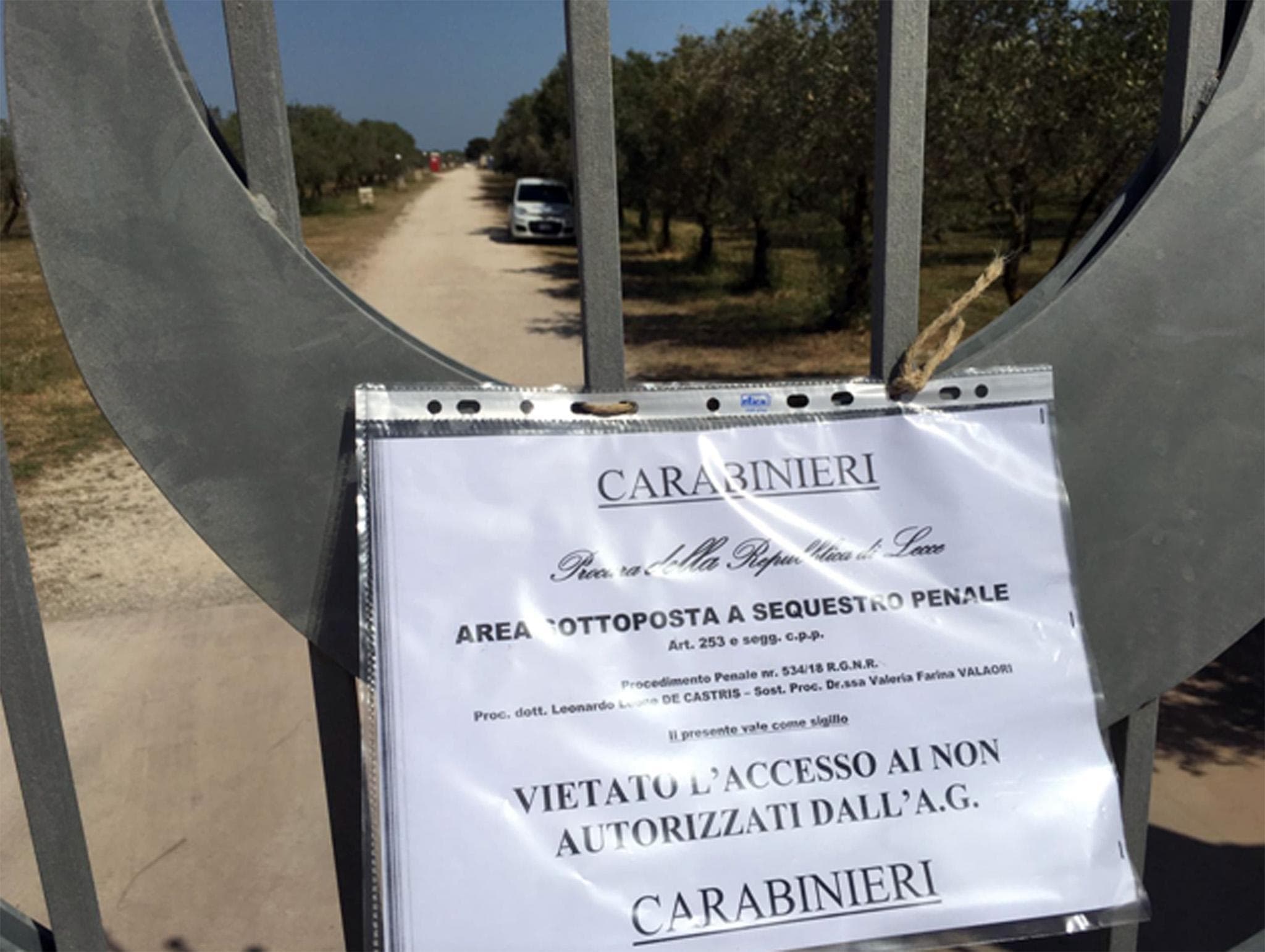 Gasdotto Tap, sotto sequestro cantiere a Melendugno: dubbi sull'espianto di 448 ulivi