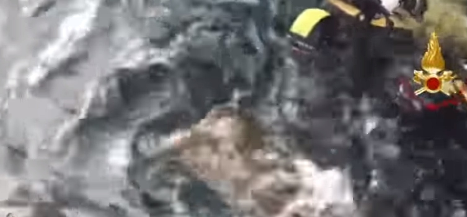 Tartaruga marina incastrata brindisi