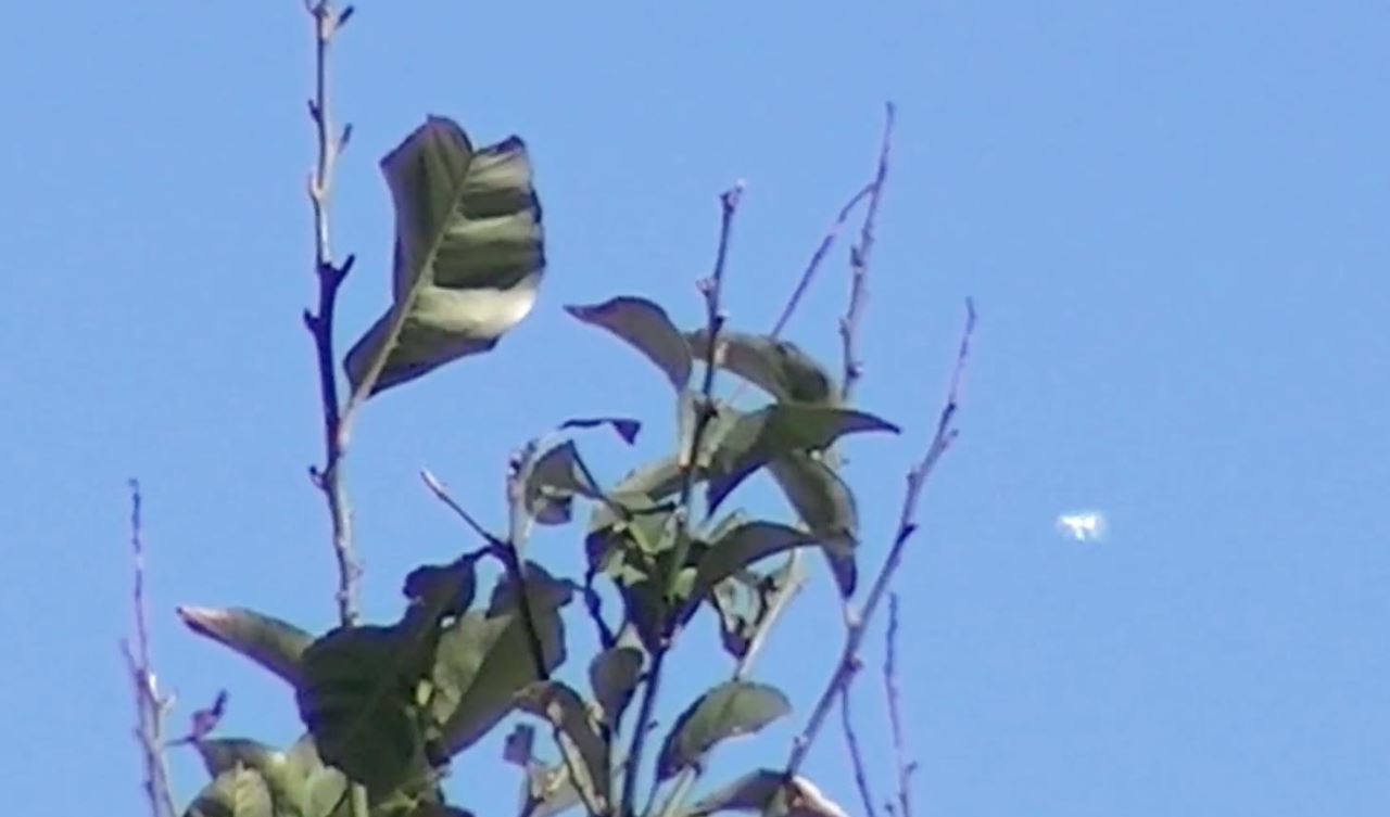 Ufo a Celle Ligure (Savona): oggetto non identificato VIDEO