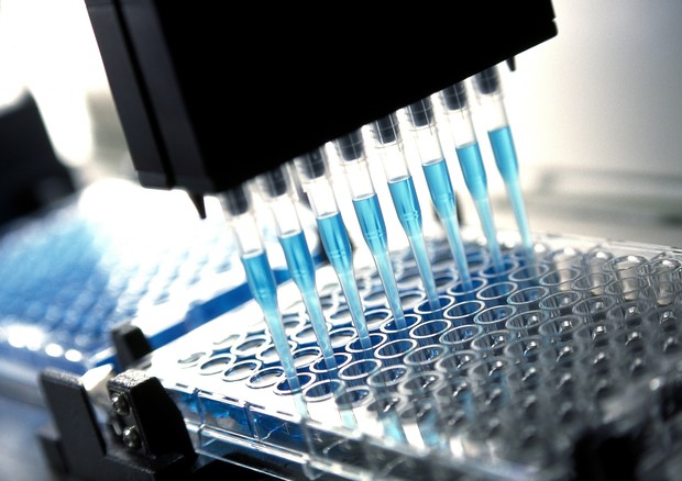 ancona test allergici muore