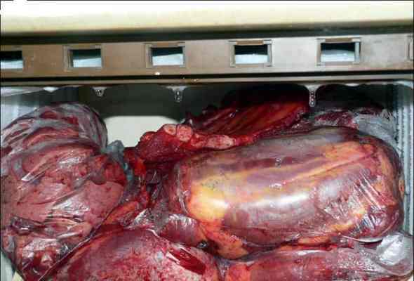 austria cannibale freezer