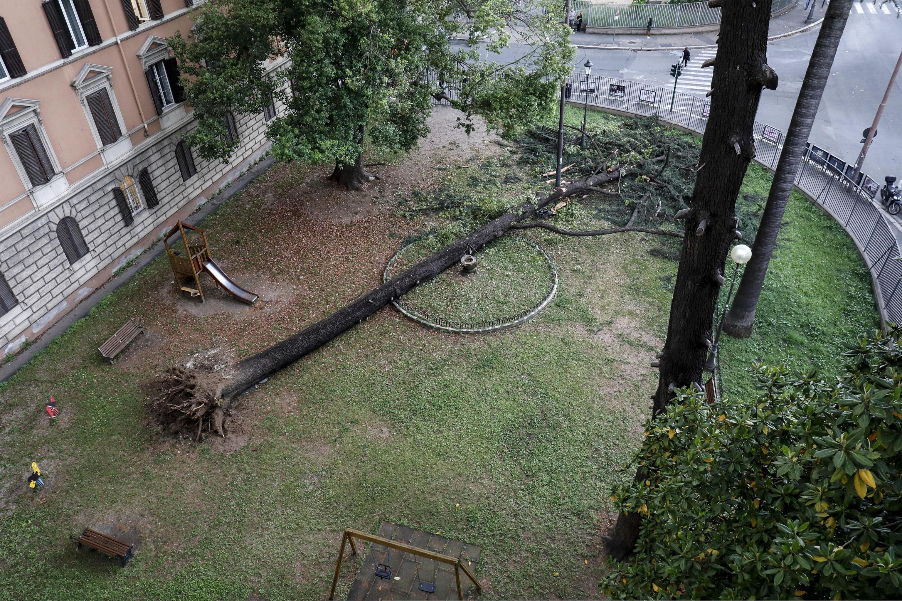 Roma: albero di 20 metri cade nel parco giochi vicino alla Stazione Termini