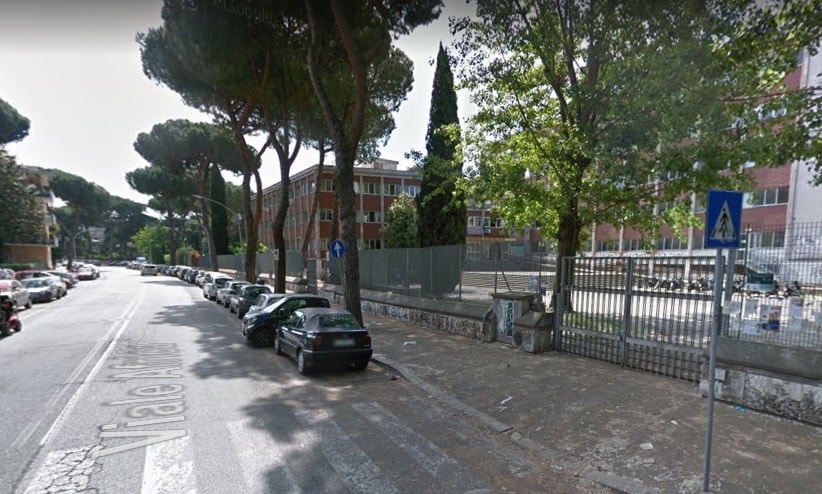 albero cade eur roma