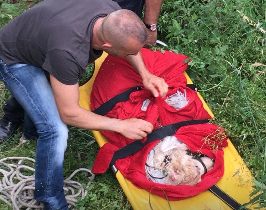 Alghero, cane chiuso in un sacco e gettato da un ponte