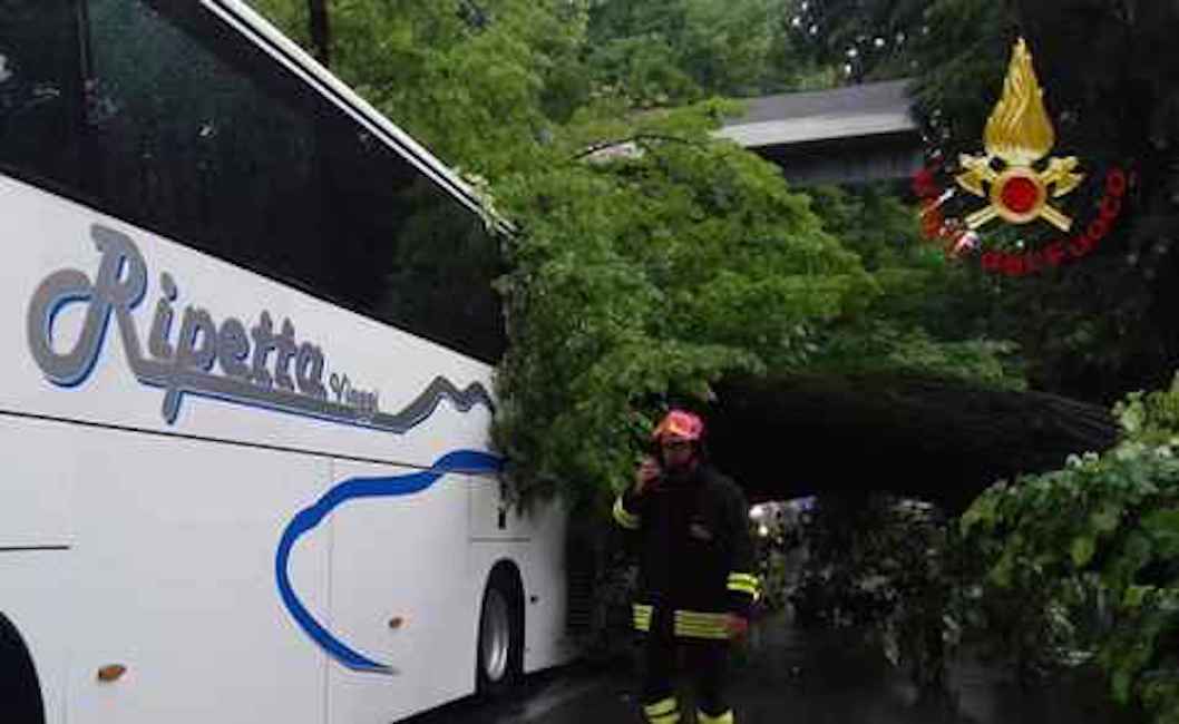 Firenze, grosso albero si abbatte sul bus carico di turisti: 5 feriti