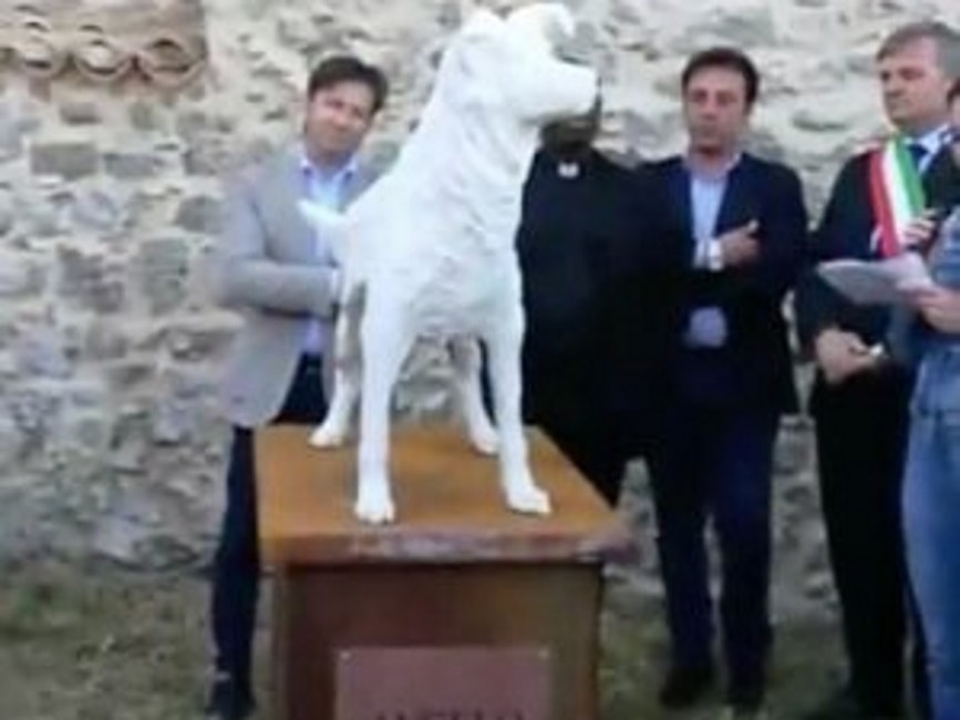 Cane Angelo, la statua contro le torture sugli animali a Montepaone