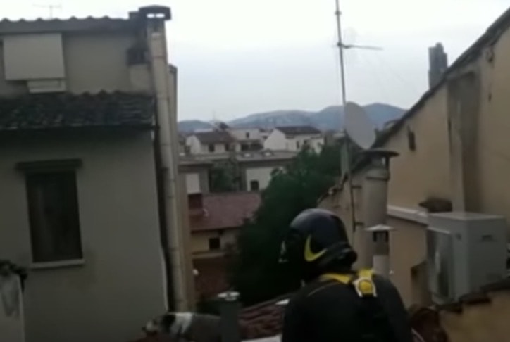 YOUTUBE Cane intrappolato su un tetto: salvato dai vigili del fuoco