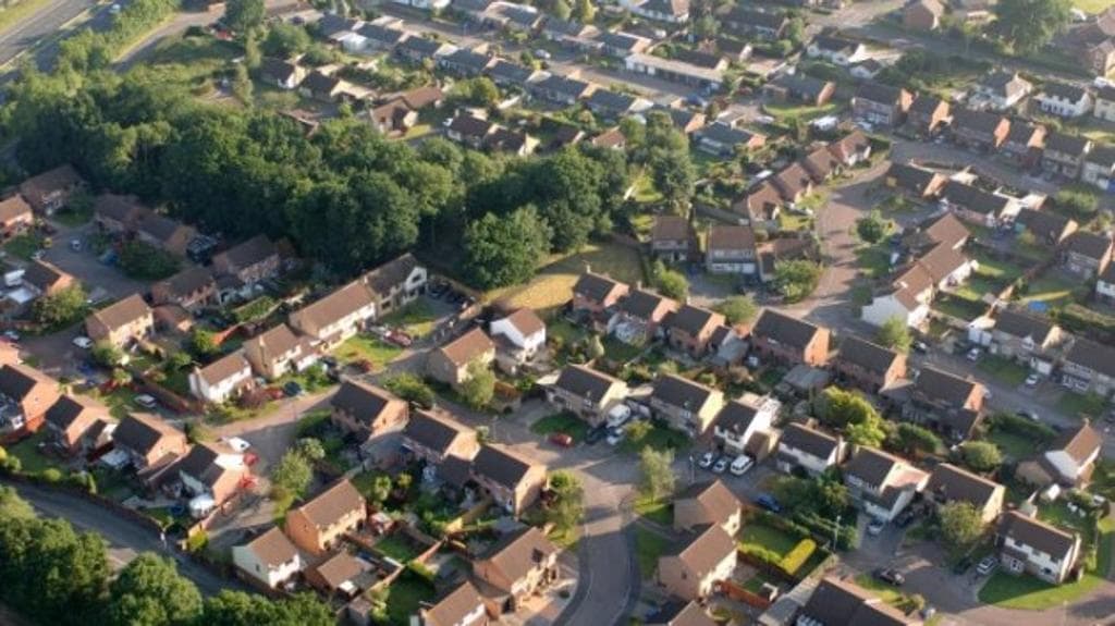 willand paese lievita