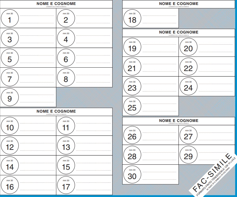 Elezioni comunali 10 giugno 2018 Avellino: come si vota, i candidati e FAC SIMILE SCHEDA ELETTORALE