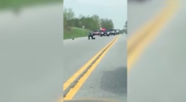 poliziotto spara uccide marmotta