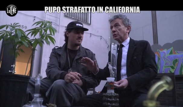 pupo marijuana california