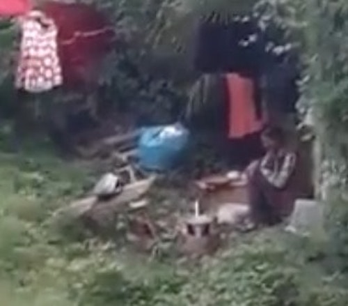 YOUTUBE Anziana rom filmata: "Ha cucinato un gatto e se l'è mangiato"