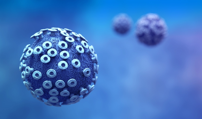 Virus Dengue, trasmissione anche per via sessuale