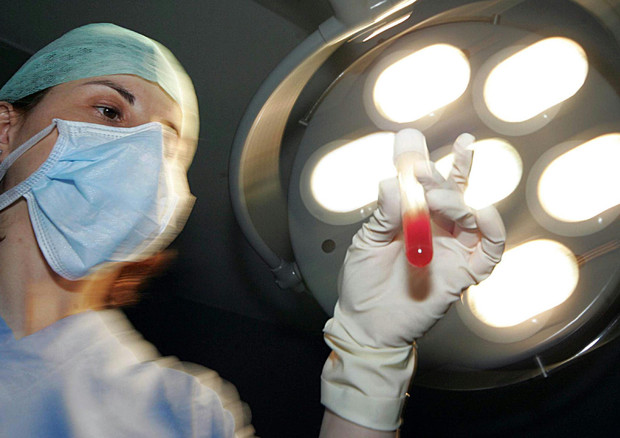 procreazione negata gay