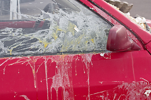 uova parabrezza auto