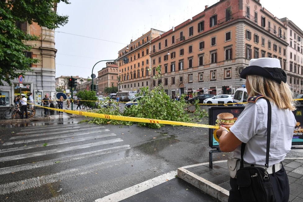 Roma, albero cade in via Leone IV a Prati