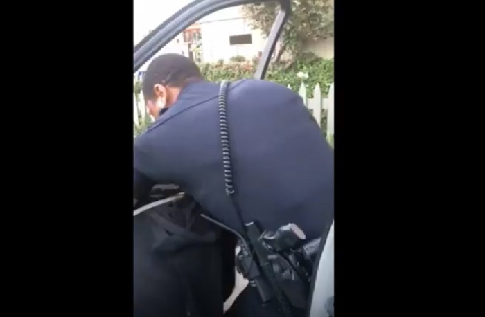 capelli arresto California