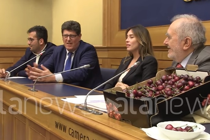 maria elena boschi ciliegie