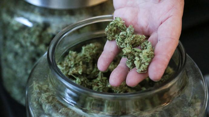 cannabis sintetica spice k2