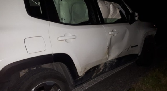 Ancona auto contro cinghiale