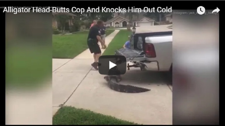 YOUTUBE Il coccodrillo si arrabbia e dà una testata al cacciatore