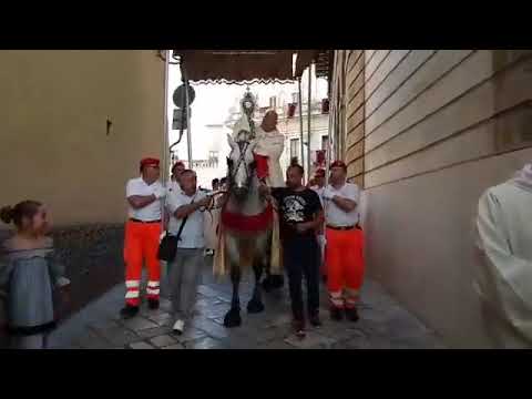 Arcivescovo di Brindisi cade da cavallo durante la processione del Corpus Domini. VIDEO