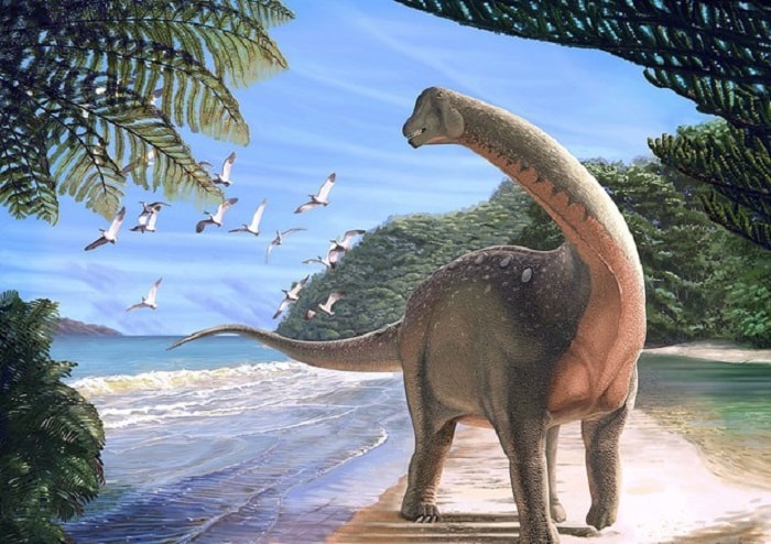 Dinosauro Bruno in Friuli ritrova la testa: ora lo scheletro è completo