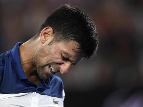 Djokovic rovinato dal veganesimo? Potrebbe soffrire di ortoressia, l'ossessione per la dieta