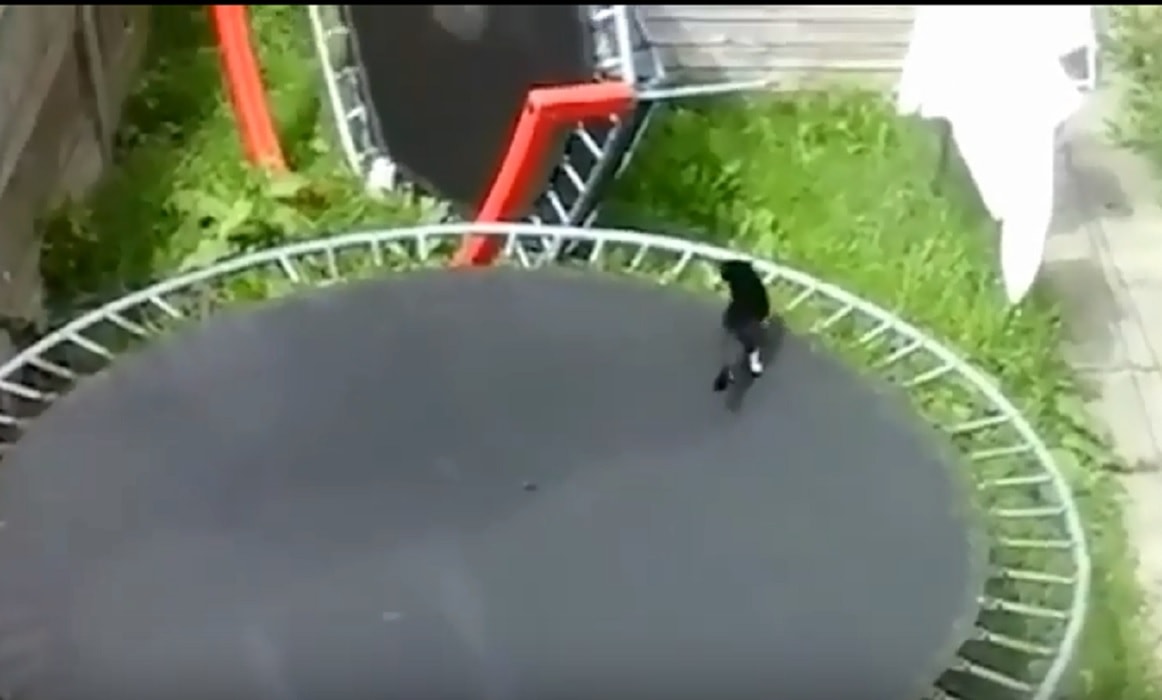 gatta si lancia dal primo piano