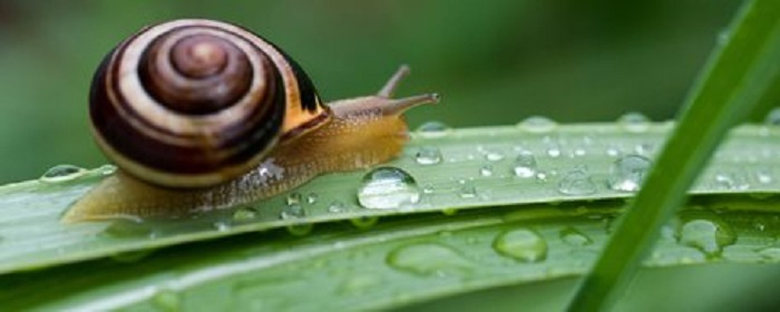 Schifo, ce ne sono sei tipi: per stick deo altrui, piede nudo su lumaca, bolle su genitali partner...