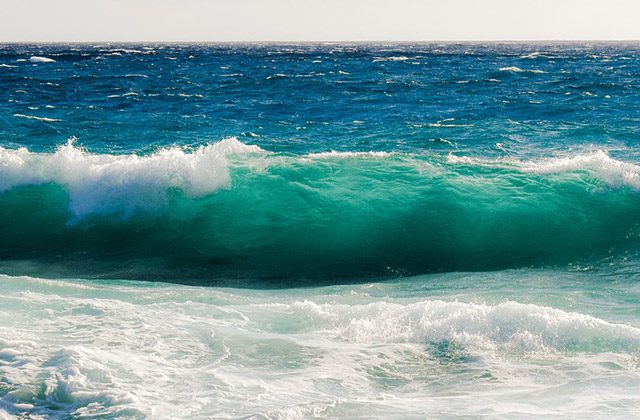 ventimiglia senegalese