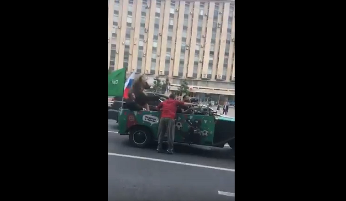 Mondiali 2018 orso suona vuvuzela