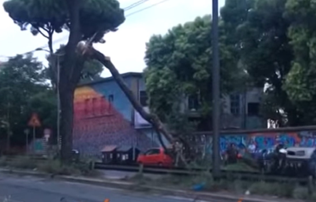 Roma, via Prenestina: ramo di pino crolla sulla rete di alimentazione dei tram