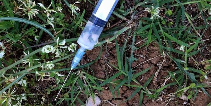 Arianna Briasco morta a 16 anni di overdose. Quattro spacciatori a processo