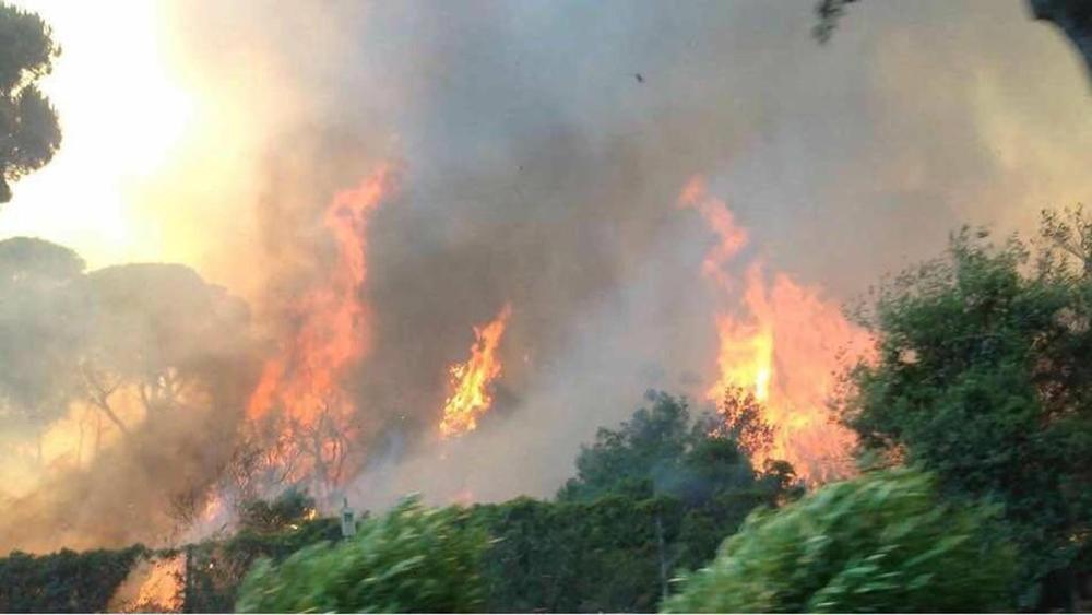 grosseto incendio ansedonia