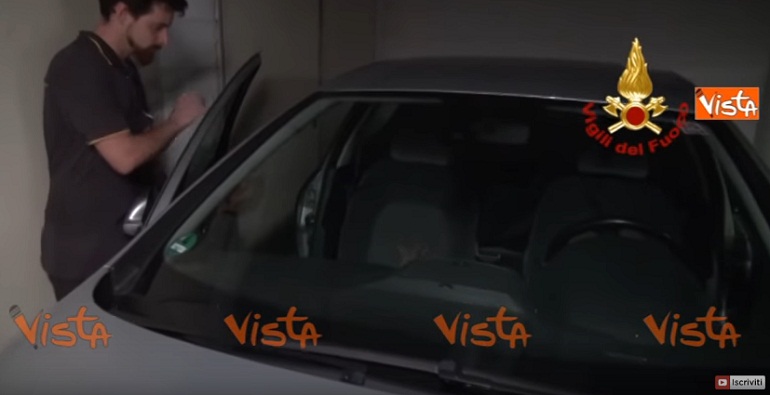 Bologna, vigili del fuoco salvano cane lasciato chiuso in auto dal padrone VIDEO